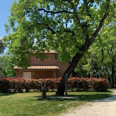 Casina Miriano Villa Кастильоне дел Лаго Екстериор снимка