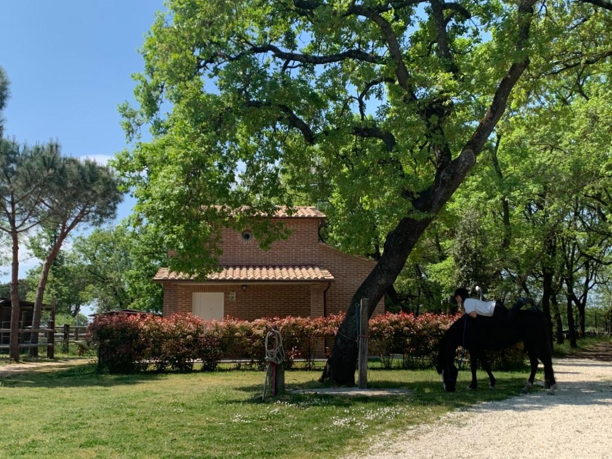 Casina Miriano Villa Кастильоне дел Лаго Екстериор снимка