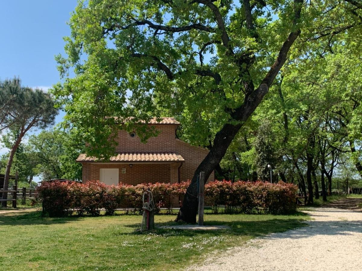 Casina Miriano Villa Кастильоне дел Лаго Екстериор снимка